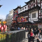 Welcome to the Year of the Pig!